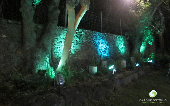 Iluminação decorativa de muro de pedra com Leds